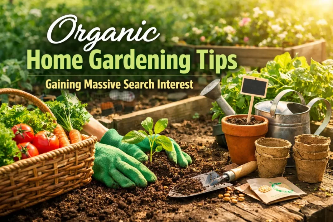 Organic Home Gardening Tips Gaining Massive Search Interest